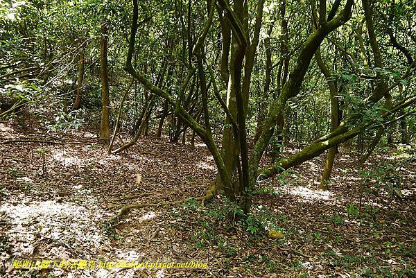 P1400863.jpg P1400863.jpg