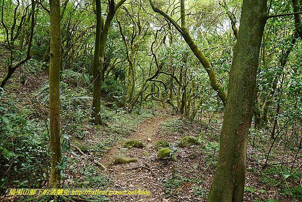 P1400864.jpg P1400864.jpg