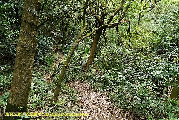 P1400865.jpg P1400865.jpg