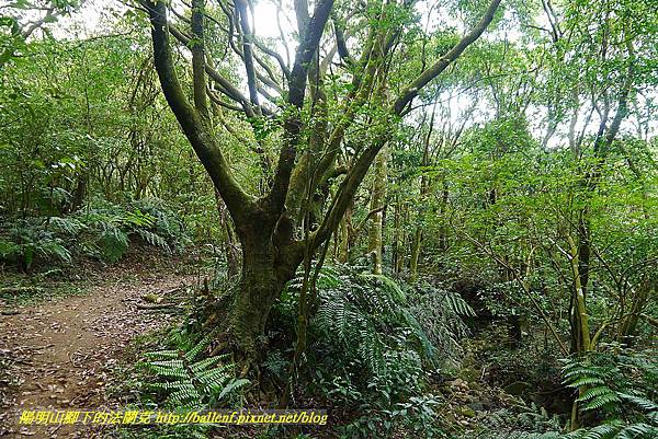 P1400868.jpg P1400868.jpg