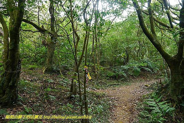 P1400869.jpg P1400869.jpg