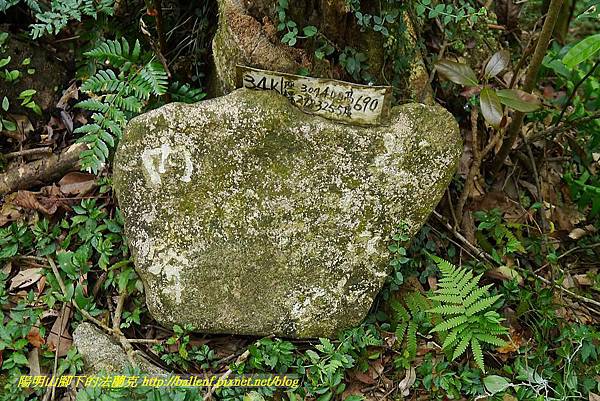 P1400870.jpg P1400870.jpg