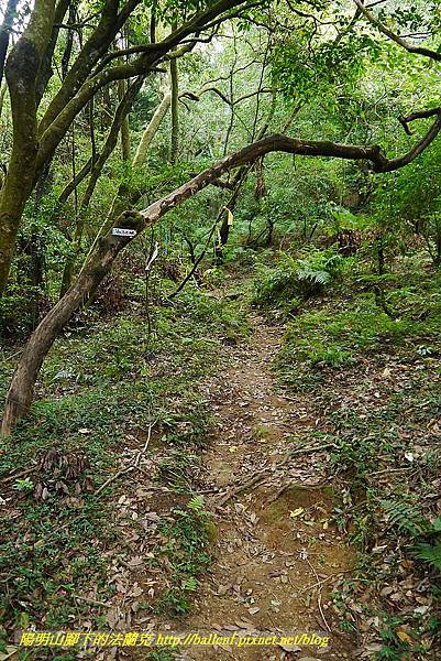 P1400871.jpg P1400871.jpg