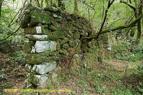 P1400873.jpg P1400873.jpg