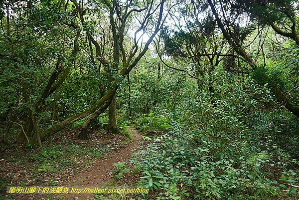 P1400875.jpg P1400875.jpg