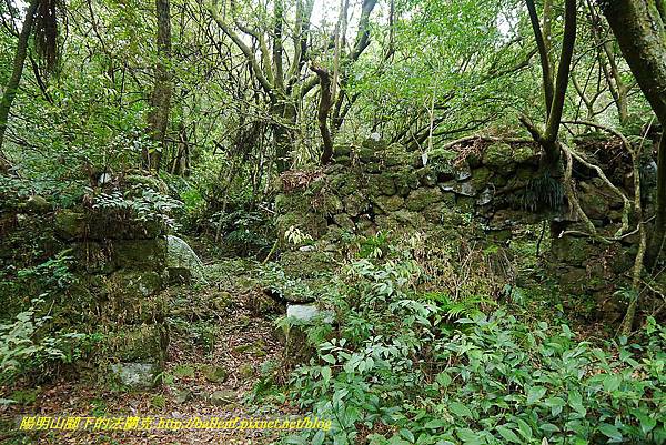 P1400874.jpg P1400874.jpg