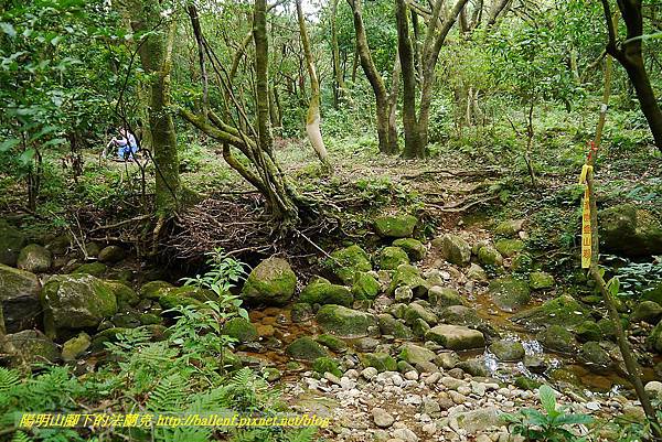 P1400877.jpg P1400877.jpg