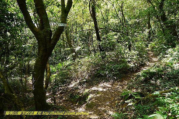 P1400879.jpg P1400879.jpg