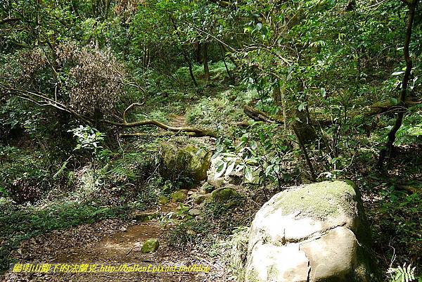 P1400878.jpg P1400878.jpg