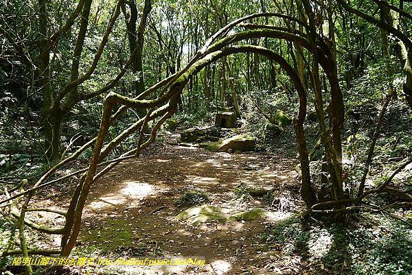 P1400881.jpg P1400881.jpg