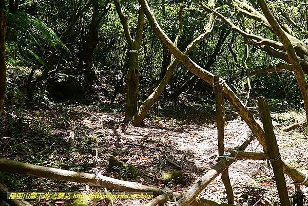 P1400884.jpg P1400884.jpg