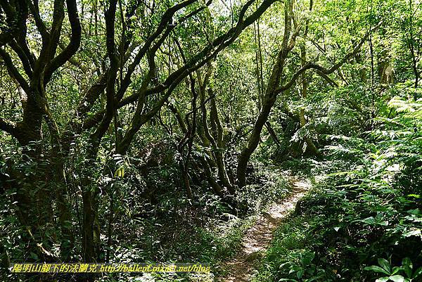 P1400888.jpg P1400888.jpg