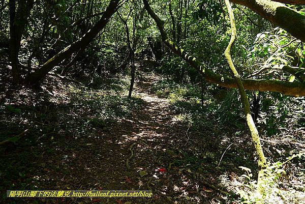 P1400886.jpg P1400886.jpg