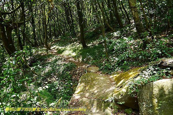 P1400890.jpg P1400890.jpg