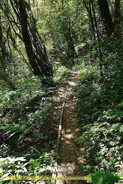 P1400889.jpg P1400889.jpg