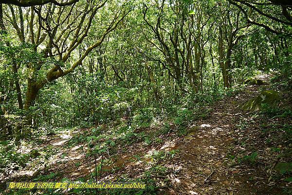 P1400894.jpg P1400894.jpg