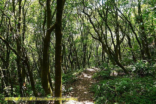 P1400891.jpg P1400891.jpg