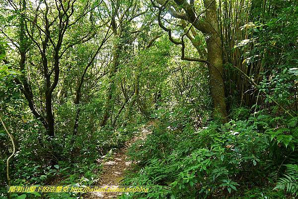 P1400893.jpg P1400893.jpg