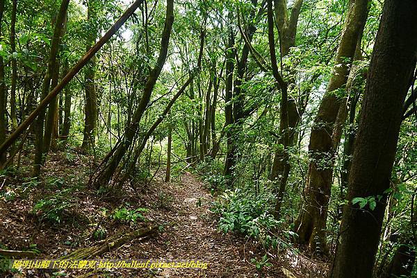 P1400899.jpg P1400899.jpg