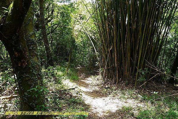 P1400896.jpg P1400896.jpg