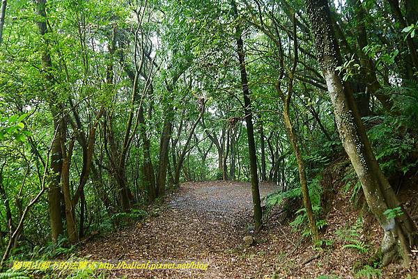 P1400900.jpg P1400900.jpg