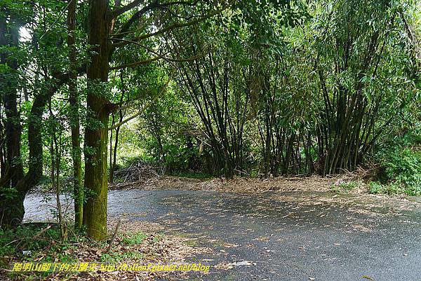 P1400902.jpg P1400902.jpg