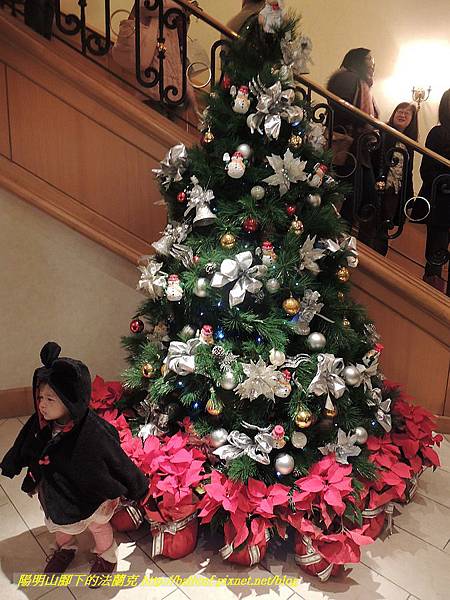 DSCN8333.jpg DSCN8333.jpg