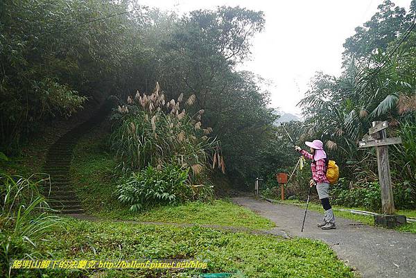 P1450608.jpg P1450608.jpg