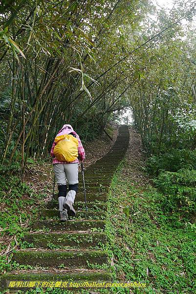 P1450609.jpg P1450609.jpg