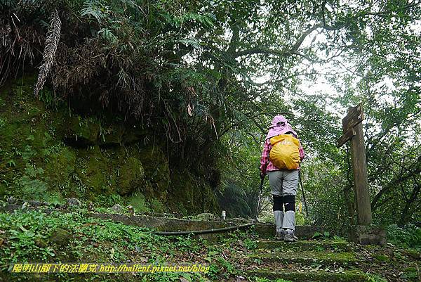 P1450610.jpg P1450610.jpg