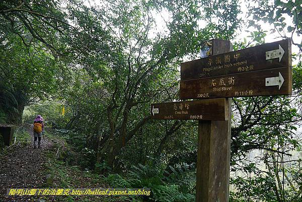 P1450611.jpg P1450611.jpg