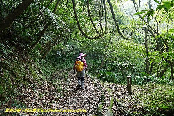 P1450613.jpg P1450613.jpg