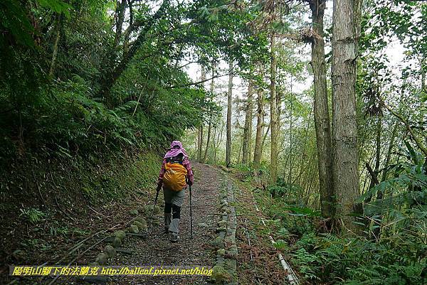 P1450614.jpg P1450614.jpg