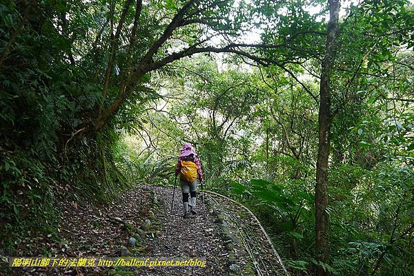 P1450616.jpg P1450616.jpg