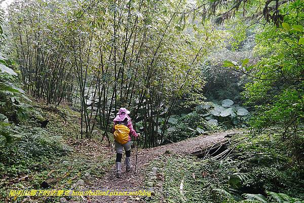 P1450617.jpg P1450617.jpg