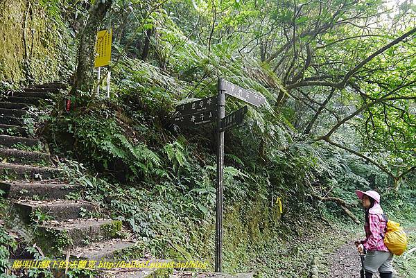 P1450620.jpg P1450620.jpg