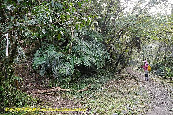 P1450622.jpg P1450622.jpg