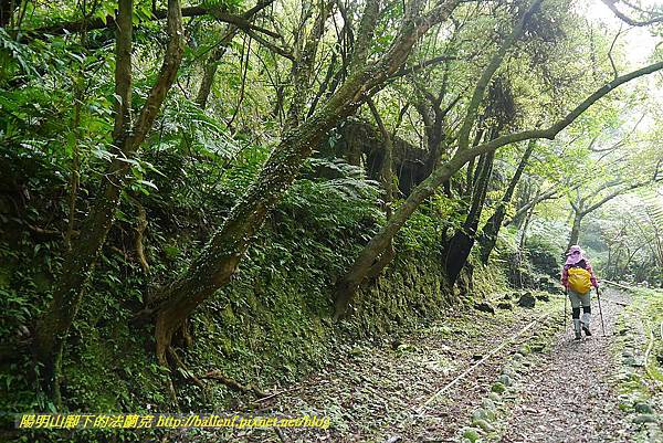 P1450623.jpg P1450623.jpg