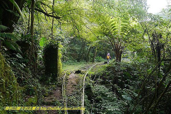 P1450626.jpg P1450626.jpg