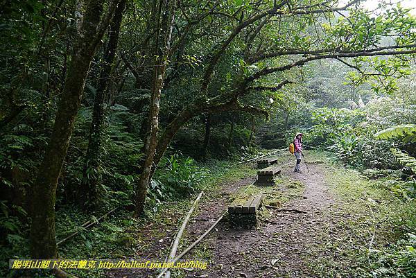 P1450627.jpg P1450627.jpg