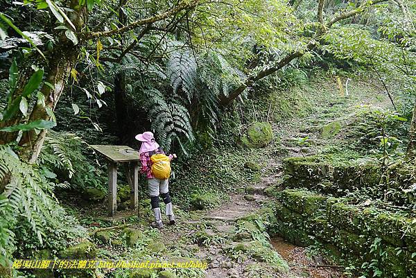 P1450629.jpg P1450629.jpg