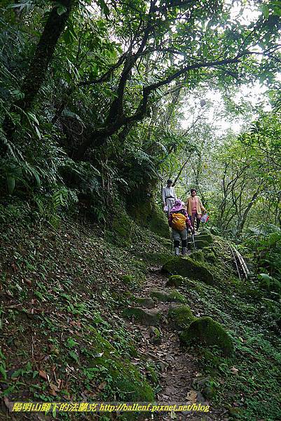 P1450631.jpg P1450631.jpg