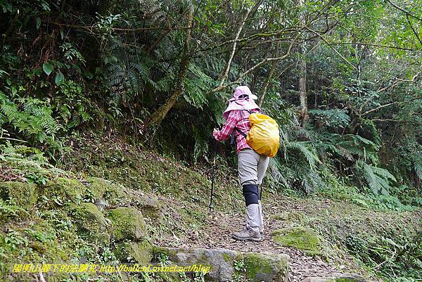 P1450632.jpg P1450632.jpg