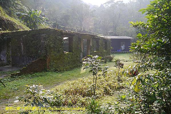 P1450634.jpg P1450634.jpg