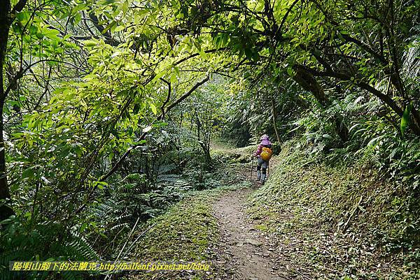 P1450638.jpg P1450638.jpg