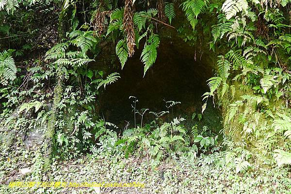 P1450639.jpg P1450639.jpg