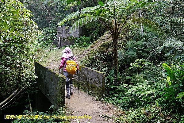 P1450643.jpg P1450643.jpg