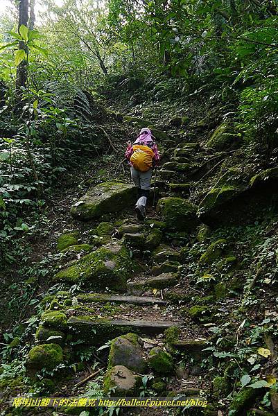 P1450657.jpg P1450657.jpg