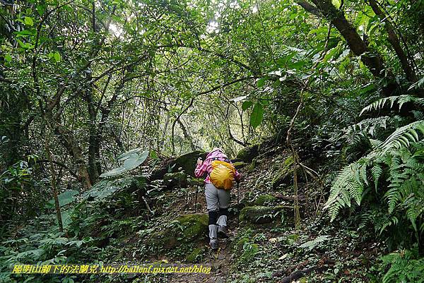 P1450658.jpg P1450658.jpg