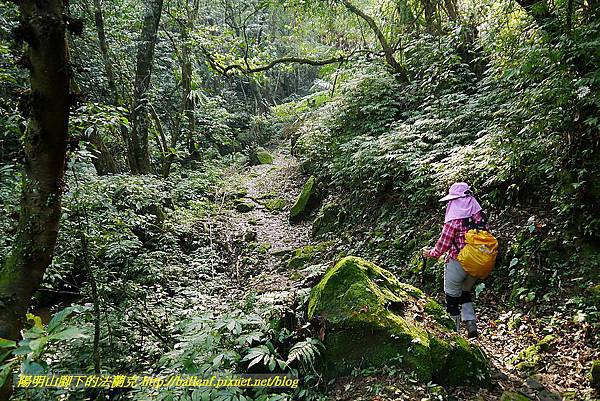 P1450659.jpg P1450659.jpg